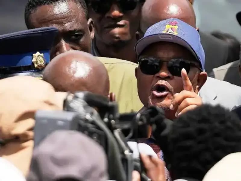 Güney Afrika'da Çete Soruşturması: Polis Bakanı Görevden Alındı