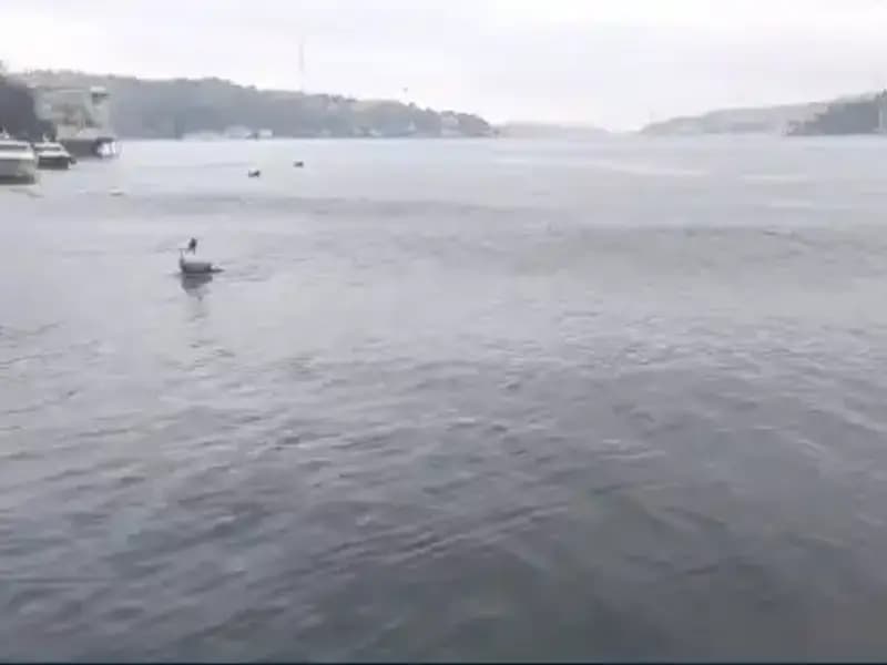 İstanbul'da 6,2 Büyüklüğünde Deprem: Dalgalar Yükseliyor, Panik Sardı!