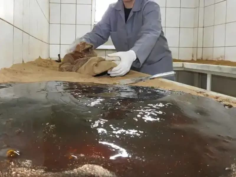 485 Yıllık Gelenek: Baharat Duası İle Şifa Bulunacak mı?