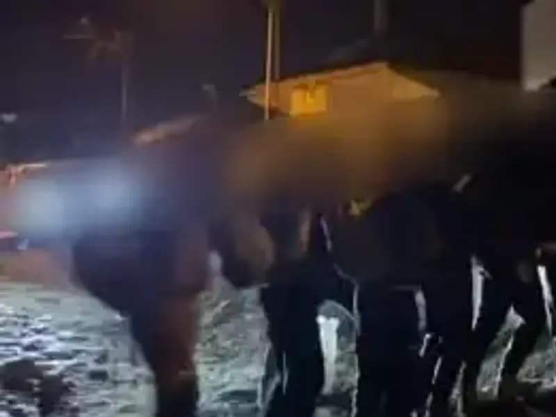 Van’da Göçmen Kaçakçılığı Operasyonu: 14 Gözaltı ile Sarsıcı Gelişmeler