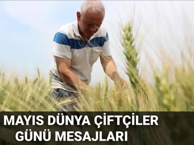 14 Mayıs Dünya Çiftçiler Günü'nde Çiftçilere Özel Mesajlar ve Anlamı