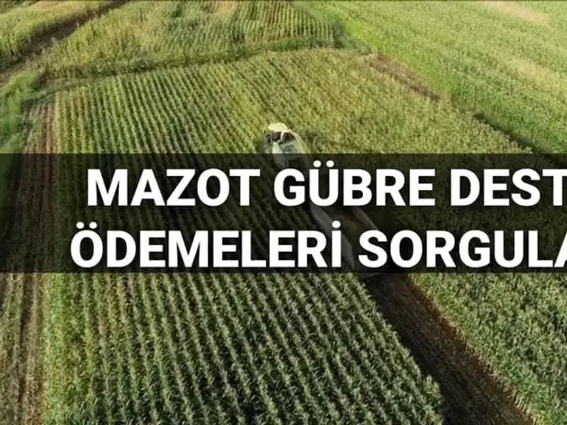 Mazot ve Gübre Desteği Ödemeleri İçin Gözler Mart 2025'te!