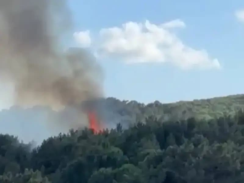 Aydos Ormanı’ndaki Yangın Kontrol Altına Alındı: Bilinmesi Gerekenler