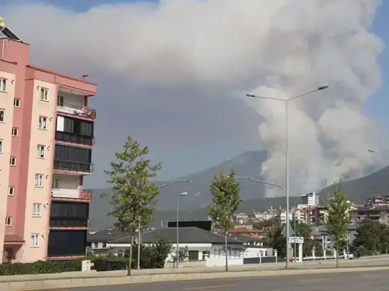 Denizli’deki Orman Yangınında Bir Şüpheli Gözaltına Alındı!
