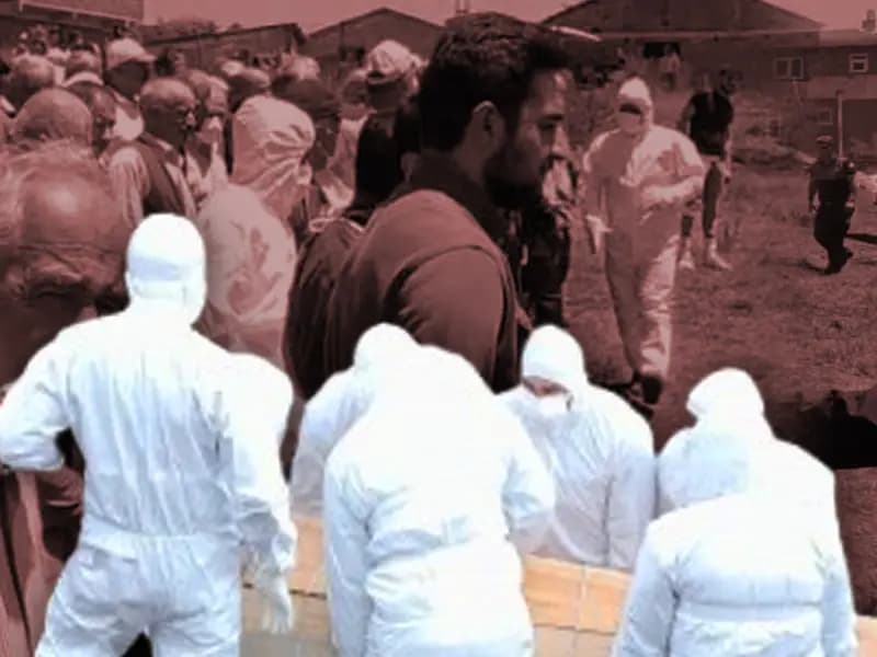 Kene Popülasyonu Artıyor: 6 Şehir İçin Uyarı Geldi