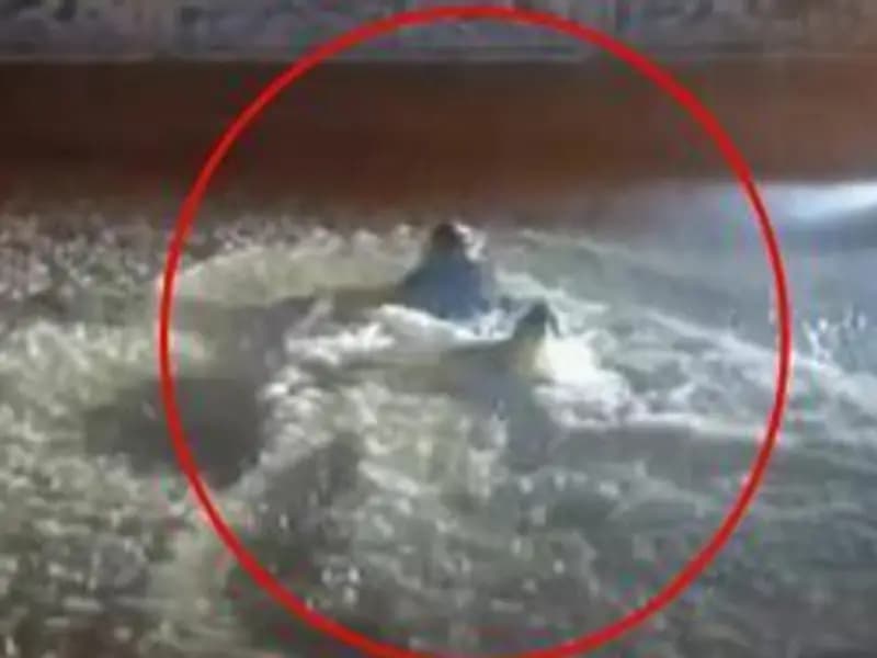 Mardin Midyat'ta Sağanak Yağış Sokakları Göle Döndürdü