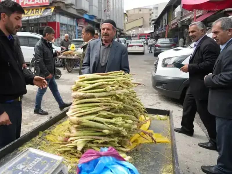 Dağlık Alanların Şifalı Mucizesi: Şekerin Sağlık Üzerindeki Etkileri