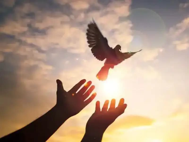 Cuma Mesajları ve Sözleri: Anlamlı ve Etkileyici Paylaşımlar İçin Rehber