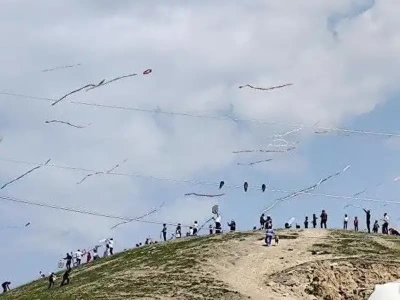 Uçurtma Şöleni: Renkli Gökyüzü ve Neşe Dolu Anlar