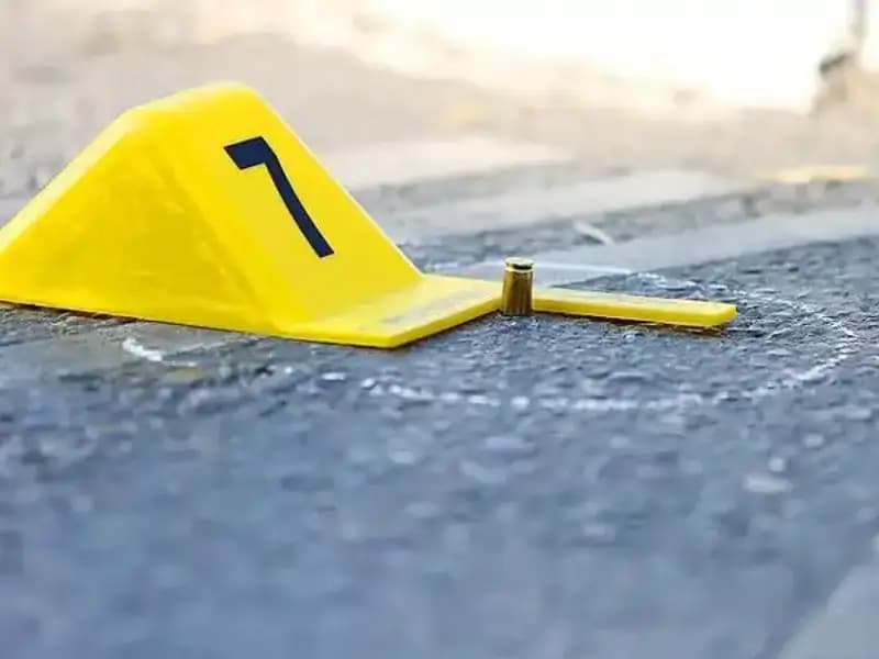 2024'te 394 Kadın Cinayeti: Aynı Kader, Farklı İsimler