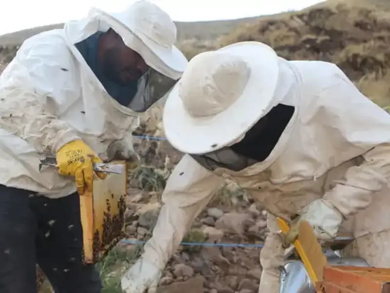 Temeke Yaylası’nın Eşsiz Lezzeti Artık Coğrafi İşaretli!