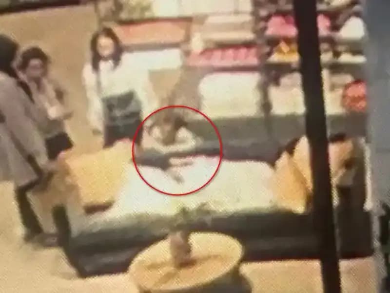 3 Yaşındaki Çocuğun AVM'de Köpek Saldırısına Uğraması Şok Edici Anlar Yaşattı