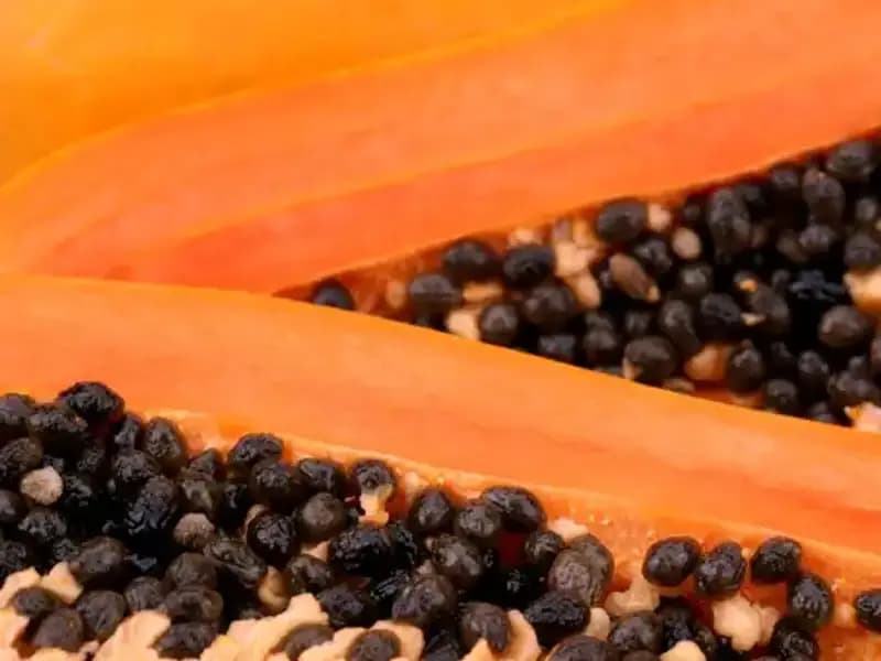 Aç Karnına Yemek: Vücudu Temizleyen Az Bilinen Etkisi