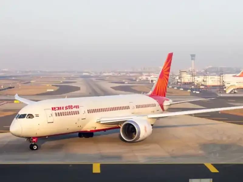 Valizden Çıkan 48 Zehirli Yılan ve 5 Kaplumbağa Şok Etti!