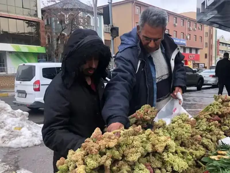 Kendiliğinden Yetişen Bu Bitki, Kanser Tedavisinde Umut Vaad Ediyor