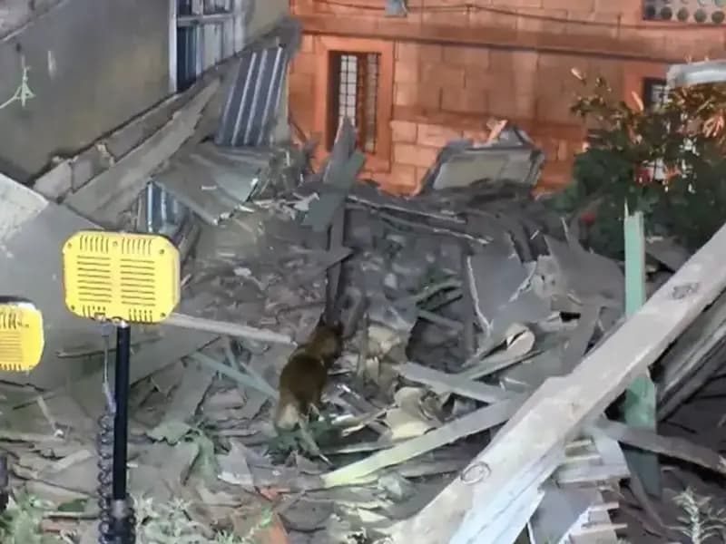 İstanbul'da Deprem Sonrası Çöken Bina, Korkutucu Anlara Neden Oldu