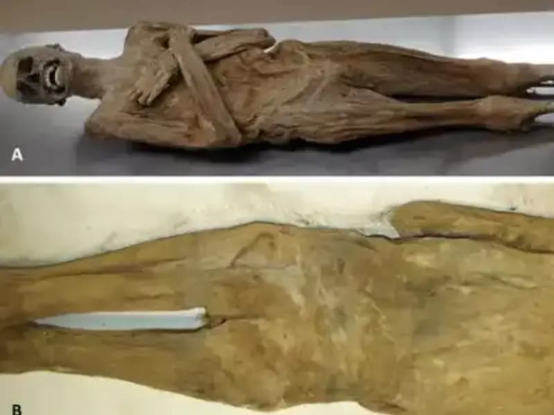 Eski Mısır'ın Gizemli Mumyası: Kurutulmuş Papazın Gerçek Hikayesi