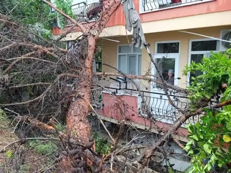 Yağmura Dayanamadı: Dev Bina Aniden Devrildi!