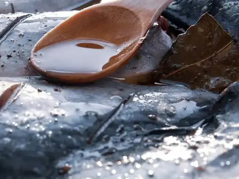 78 Yaşındaki Doktorun Gençleştiren 7 Besin Sırrı!