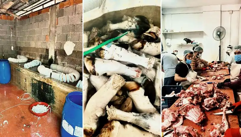 Adana'da Şok Eden Manzara: Yüzlerce Kilo Paça Ortaya Çıktı