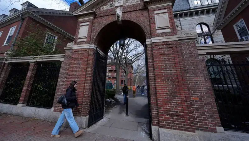 Harvard Profesörleri, Trump Yönetimine Açtıkları Davada Hükümetin Yanlışlarını Gün Yüzüne Çıkarıyor