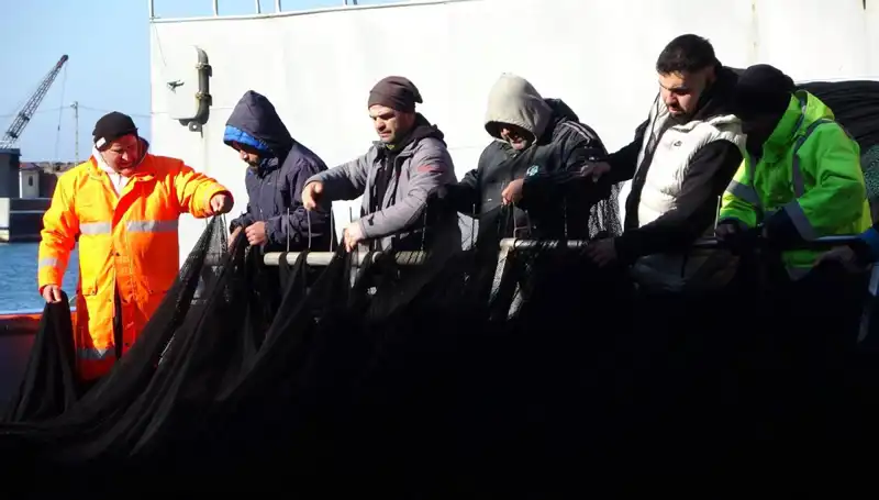 Denizlerde Hamsi Stoku Alarm Veriyor: Balıkçı Tekneleri Terk Ediyor!