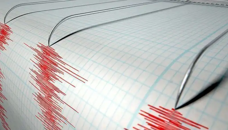 Yeni Zelanda'da Şiddetli Deprem! Son Gelişmeler ve Etkileri Neler?