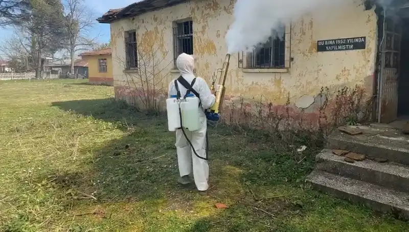 Çiftçilerin Kahverengi Kokarca Seferberliği: Tarımda Yeni Bir Tehdit Mi Geliyor?