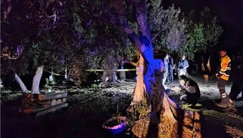 Çiftlikteki Baltalı Vahşete Şok Tutuklama: Olayın Perde Arkası
