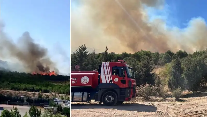 Gebze'de Meydana Gelen Orman Yangını: Sebepler ve Mücadele Süreci