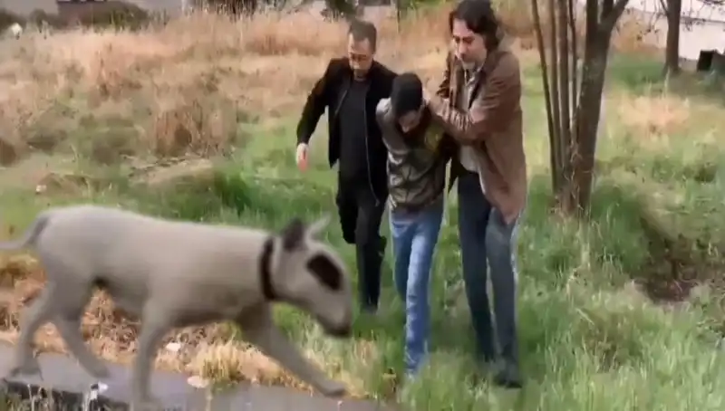 430 Bin Lira Değerindeki Şampiyon Köpek Hırsızı Yakaladı!