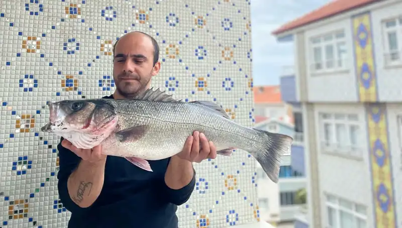 7,5 Kiloluk Dev Levrek, Balıkçıların Gözdesi Olmayı Başardı!