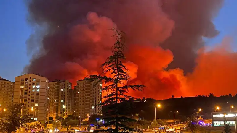 Bursa'da Yangınlar Şehirde Panik Yaratıyor: Son Durum Nedir?