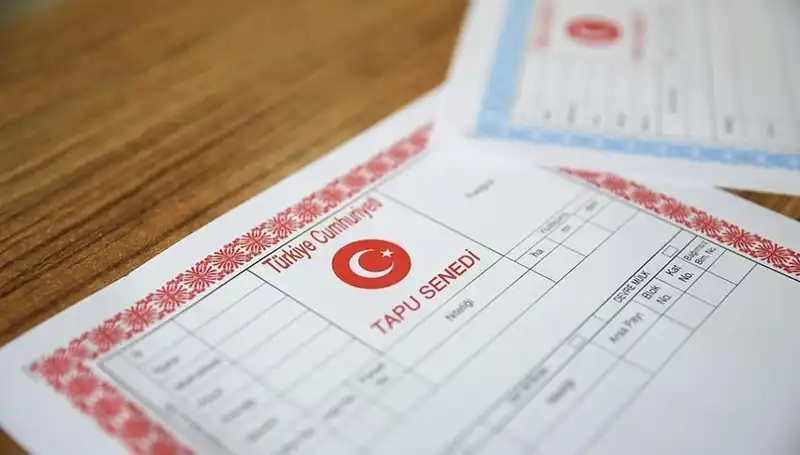 Hisseli Tapu Oyunu: 100 Milyonluk Dolandırıcılığın Perde Arkası