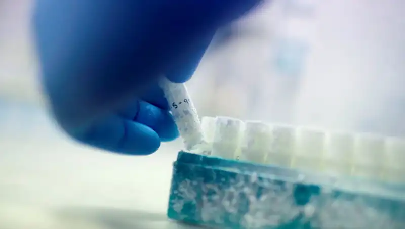 Çocuklar ve Sperm Donörü: Tıbbi Felaketin Gölgesindeki Gerçekler