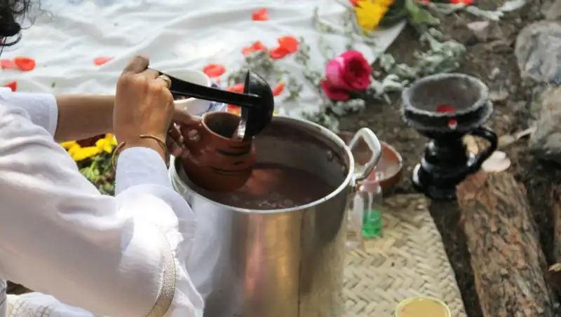 Ayahuasca: Yasak mı, Yoksa Alternatif Bir Şifa Yolu mu?