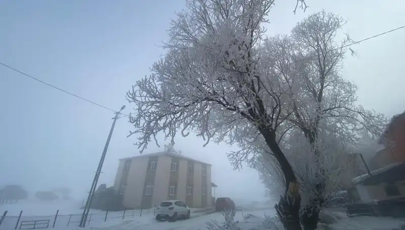 Bu Kış Göle'de Eksi 18 Derece Hissedildi, Neler Oluyor?