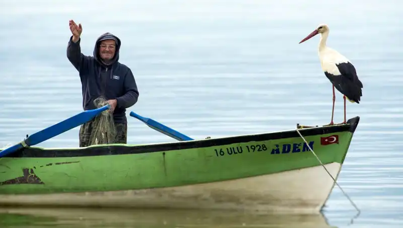 Yaren Leylek Geldi Mi? Yıla Renk Katacak Müjdeli Haberi Bekliyoruz!