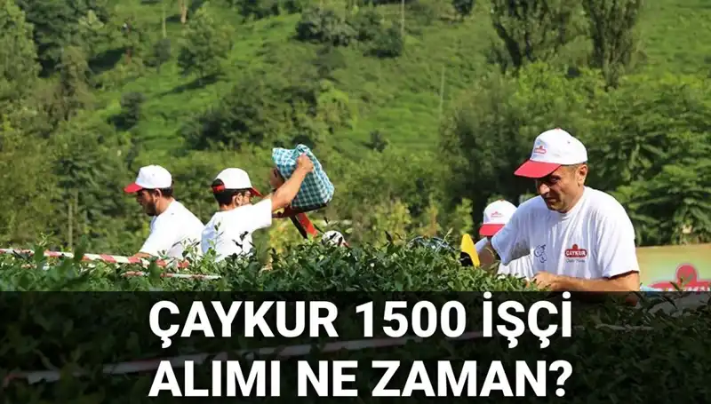 Çaykur İşçi Alımıyla İlgili Başvuru Tarihleri Açıklandı!
