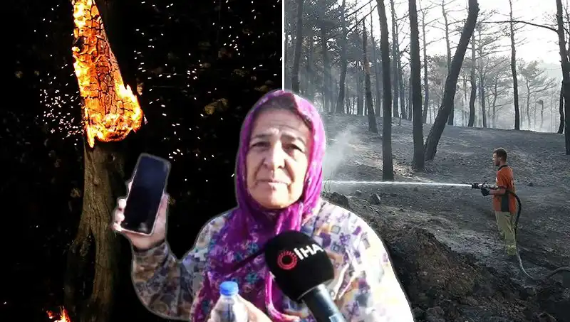 Çanakkale'deki Orman Yangınları Kontrol Altına Alındı: Hayatta Kalanlar...