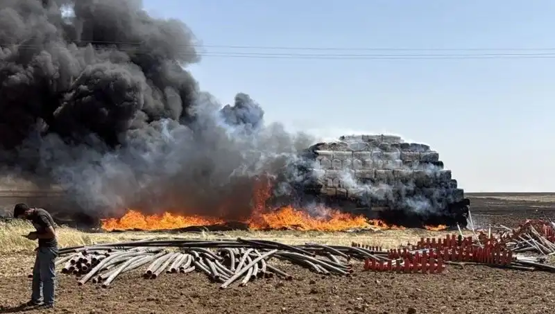 Mardin'de Anız Yangını: Tarım Alanları Tehlikede, Olayın Sebepleri ve Sonuçları