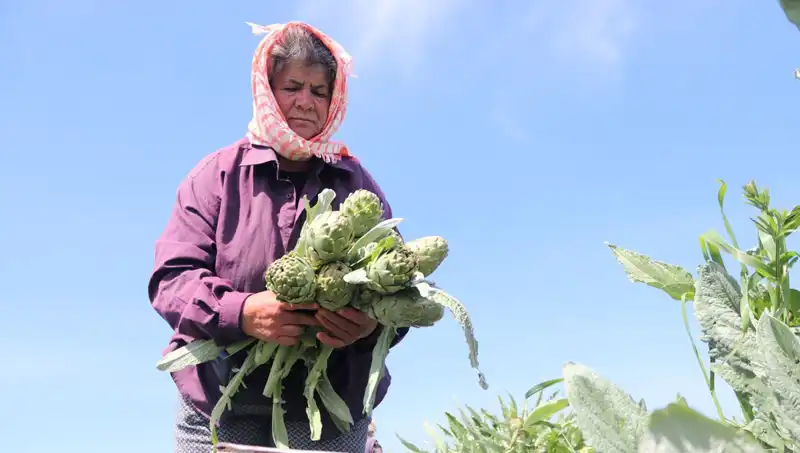 Tarladan Sofralara: Taze Ürünlerin Tezgah Fiyatları Yükseliyor