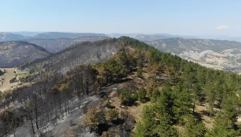 Bolu'da 5 Milyon Fidanın Toprakla Buluşacağı Büyük Yeşil Proje
