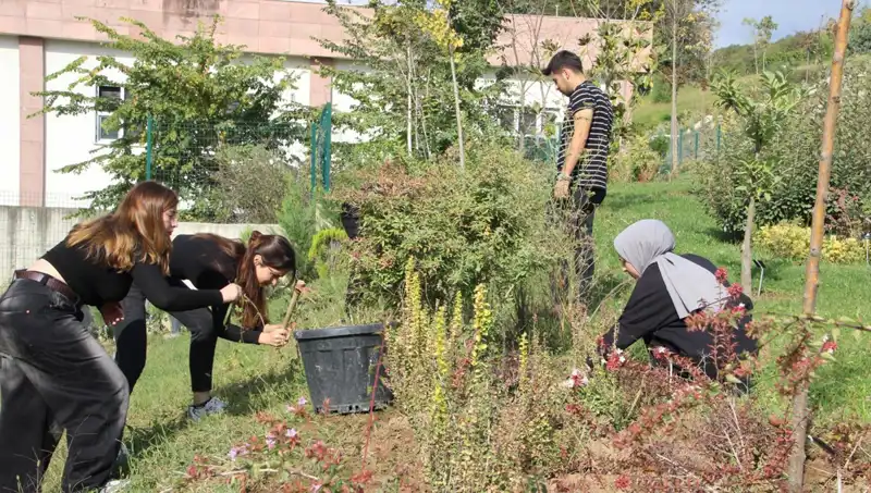 Düzce'den Dünyaya Açılan Kapı: Hayalin Gerçekleşmesi