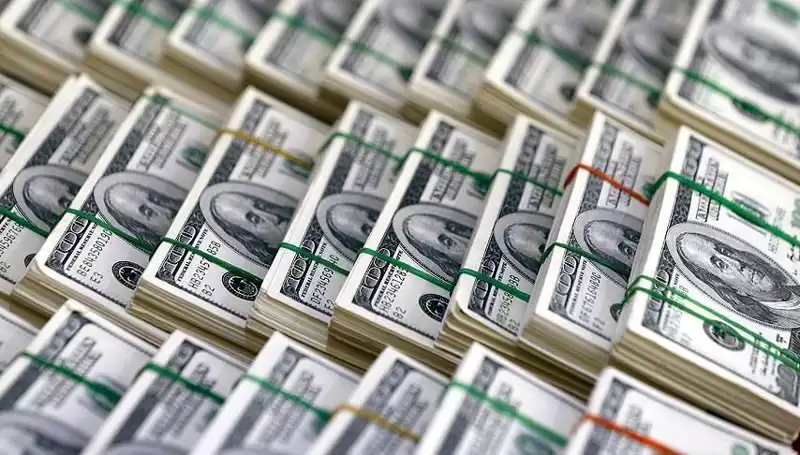 Doların Hızla Yükselişi: Ekonomik Endişeler Artıyor
