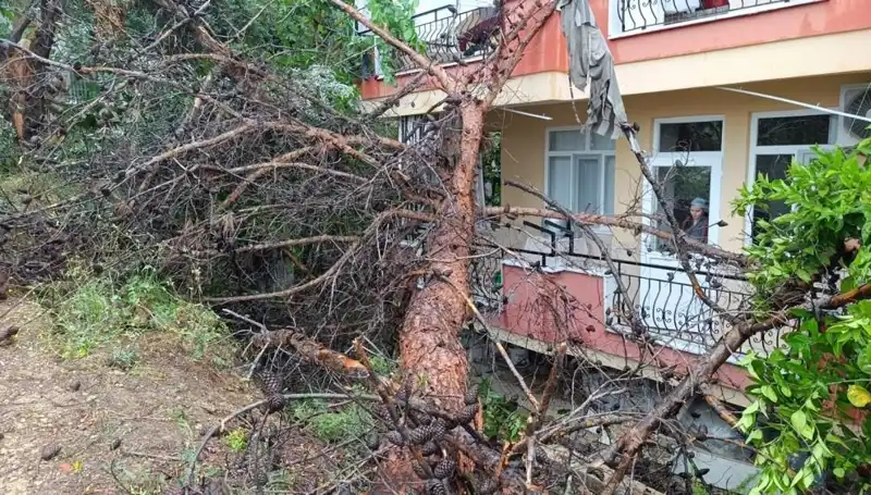 Yağmura Dayanamadı: Dev Bina Aniden Devrildi!