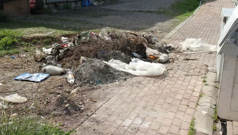 Antalya'da Gizemli Kedi Ölümleri: 10 Kedi Bulundu, İnceleme Başlatıldı