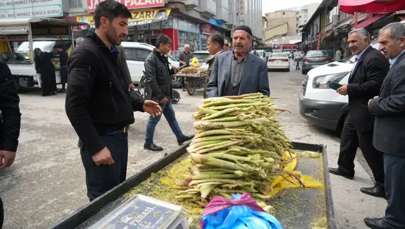 Dağlık Alanların Şifalı Mucizesi: Şekerin Sağlık Üzerindeki Etkileri