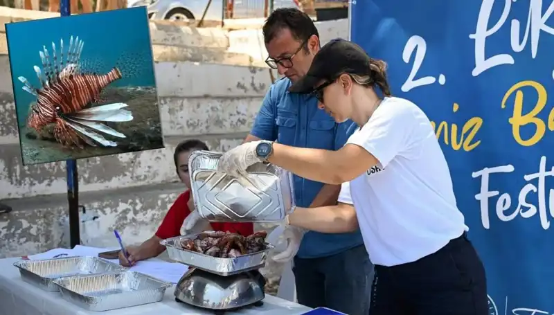 Antalya'da İstilacı Aslan Balığı Avlama Yarışması: Doğa İçin Bir Adım Daha