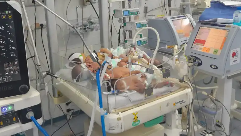 Gazzeli Doktorlar Çaresiz: Kuvözde Birden Fazla Bebek Krizi Üzerine Yaşananlar